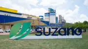 Suzano fecha unidade e demite 90; sindicato garante benefícios