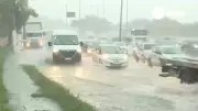 Temporal em SP causa 500 km de engarrafamentos, alagamentos e quedas de árvores