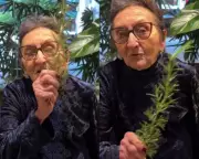 Tânia Maria, 79, faz simpatias e orações por indicação de 'O Agente Secreto' ao Oscar