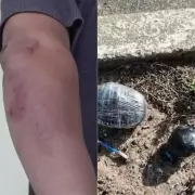 Torcidas de ABC e América-RN se enfrentam em Natal com agressões e apreensão de explosivos