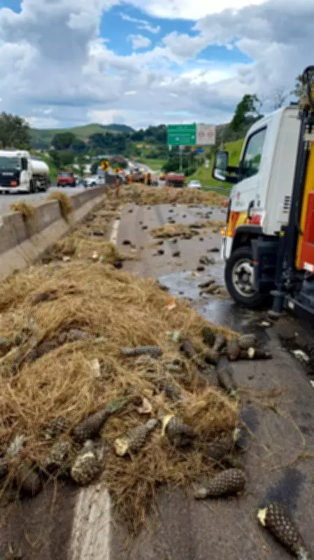 Acidente com caminhão de abacaxis na Dutra deixa motorista ferido e causa congestionamento em Guaratinguetá