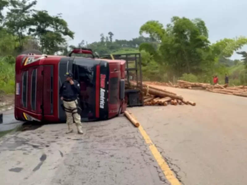 Acidente entre caminhões com eucalipto e tijolos interdita parcialmente BR-116 em Teófilo Otoni