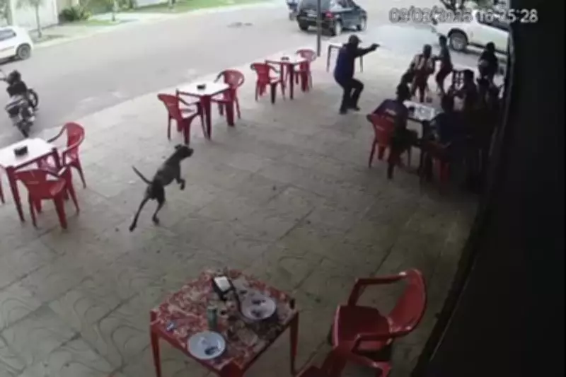 Adolescente é assassinado a tiros em lanchonete de MT por colega uniformizado