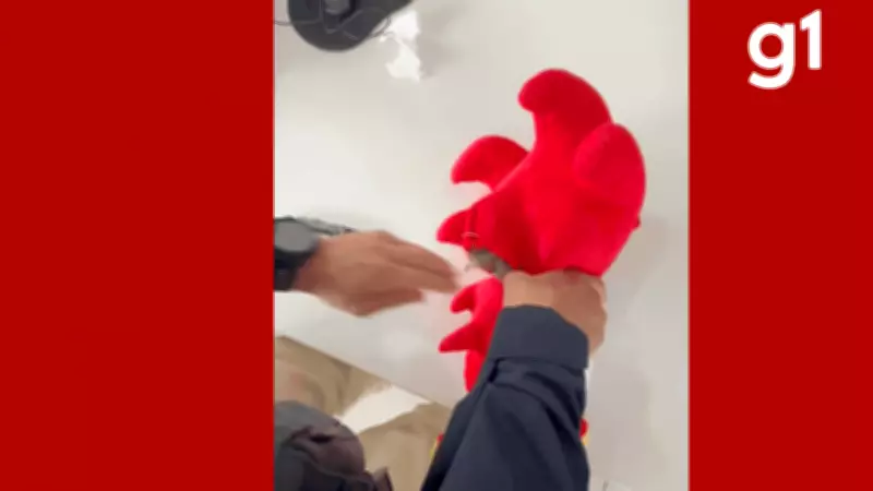 Adolescente é preso com 656 comprimidos de ecstasy escondidos em bichinhos de pelúcia em MT