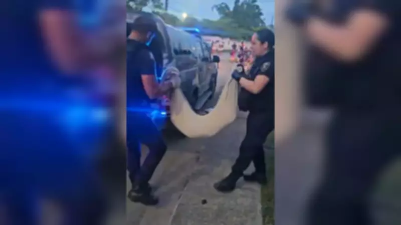 Adolescentes são apreendidos por suspeita de maus-tratos a cão em Itajaí