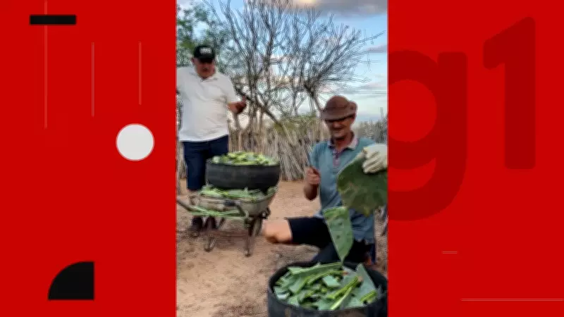 Agricultores da Paraíba viralizam com diálogos simples e vida rural nas redes sociais