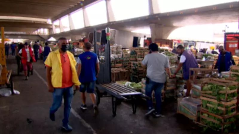 Agronegócio emprega 28,58 milhões e representa 26% das ocupações no Brasil