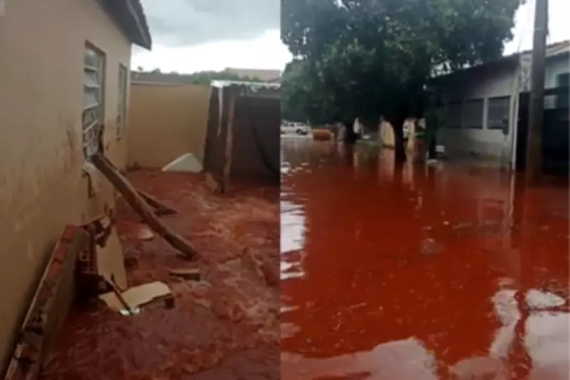 Alagamento em Campo Grande causa destruição e morte de cachorro afogado