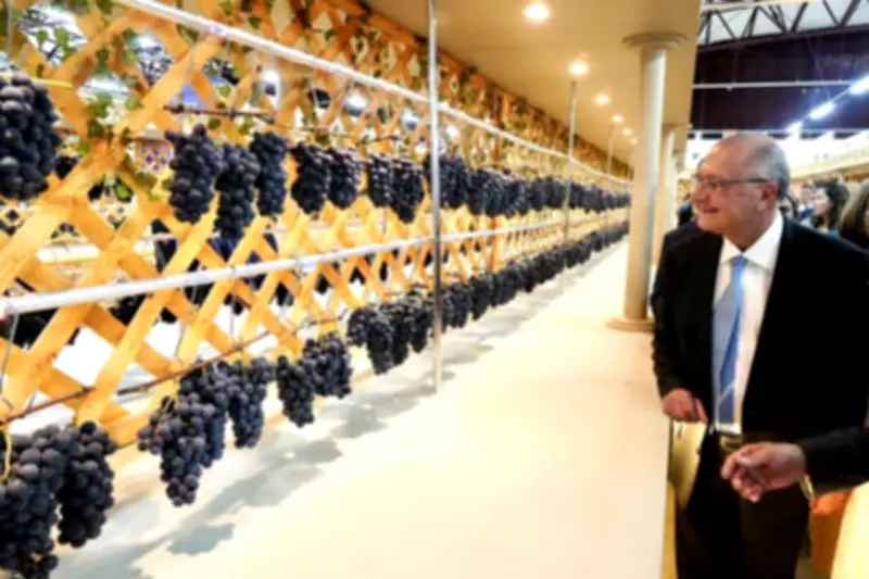 Alckmin anuncia redução de carga tributária sobre vinhos e espumantes para 33%