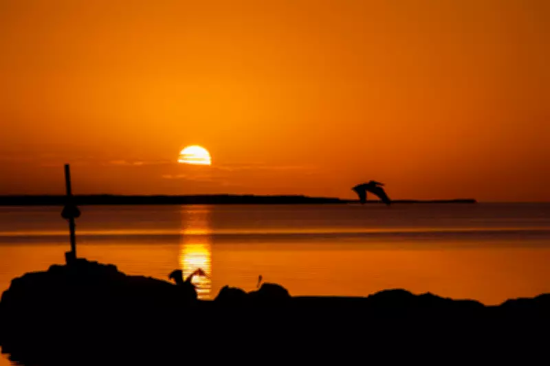 Alerta vermelho do Inmet para onda de calor histórica afeta mais de 500 municípios no Sul