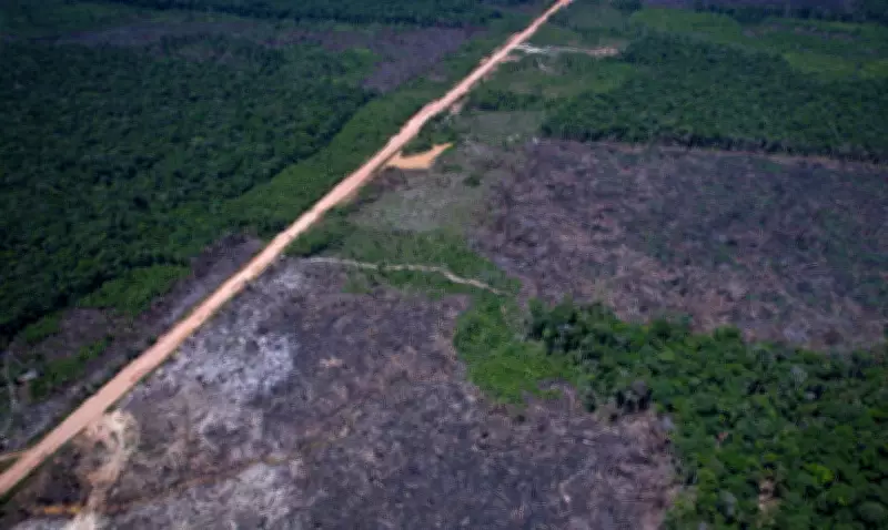 Alertas de desmatamento caem 35% na Amazônia e 6% no Cerrado, segundo dados do Inpe
