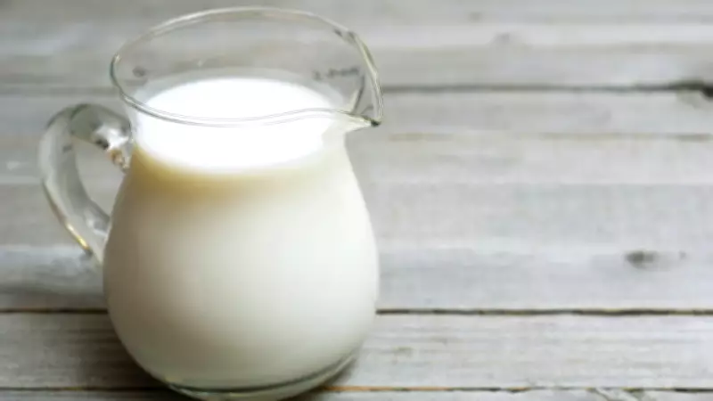 Alimentos Perigosos: O Que Nunca Deve Ser Consumido Cru