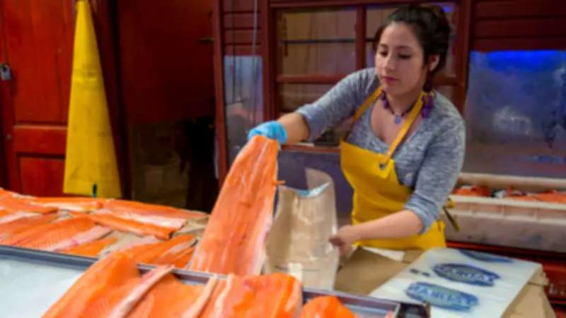 Além do café e pimenta: alimentos que combatem o refluxo ácido e melhoram a qualidade de vida