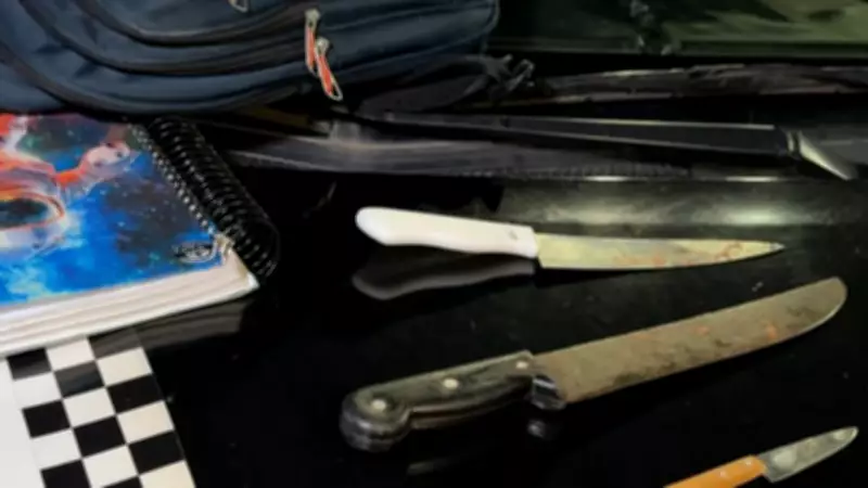 Aluno esfaqueia diretor e coordenadora em escola estadual no Ceará