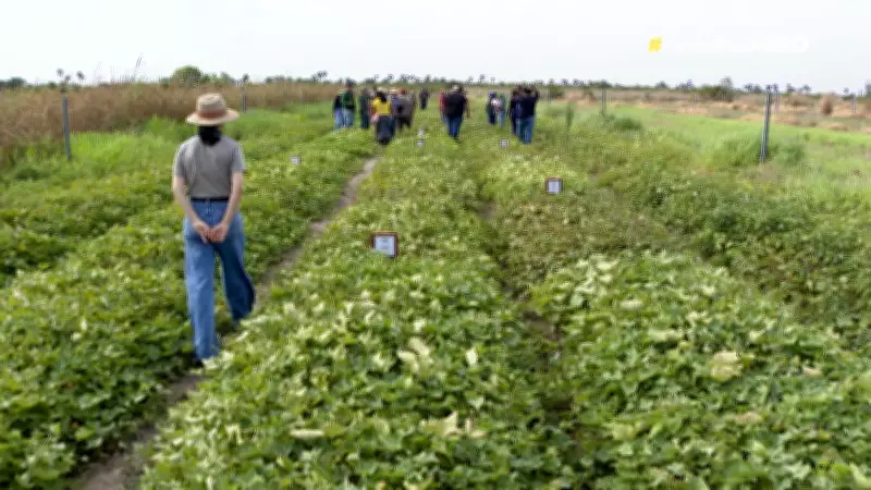 Amazonia Agro Acre: Vídeos destacam avanços do agronegócio no estado