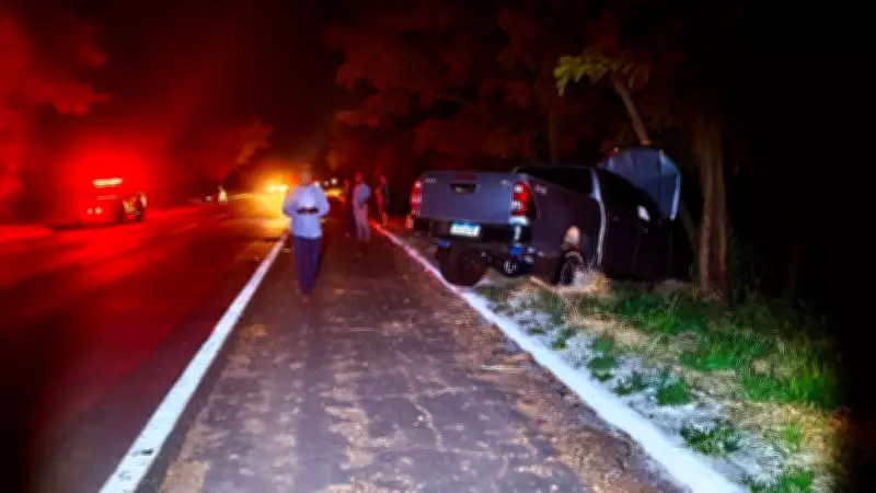 Anta Atropelada Provoca Grave Acidente com Três Feridos em Rodovia de MS