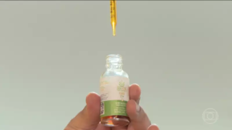 Anvisa estabelece regras para cultivo e pesquisa de cannabis medicinal no Brasil a partir de 4 de agosto