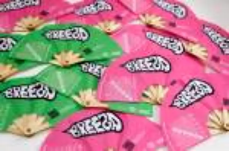 Ação em blocos de Carnaval em SP promove redução de danos com distribuição de leques informativos