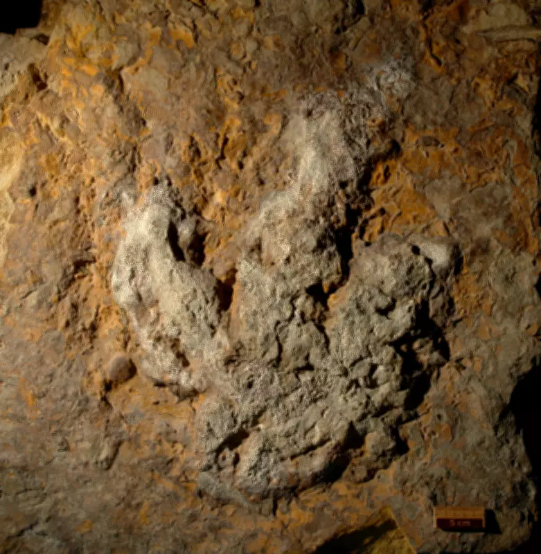 Aplicativo DinoTracker usa IA para identificar pegadas de dinossauros com 90% de precisão