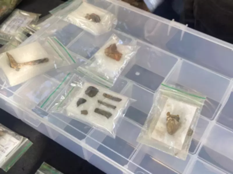 Arqueólogos descobrem peças raras do século 18 em praça histórica de Macapá