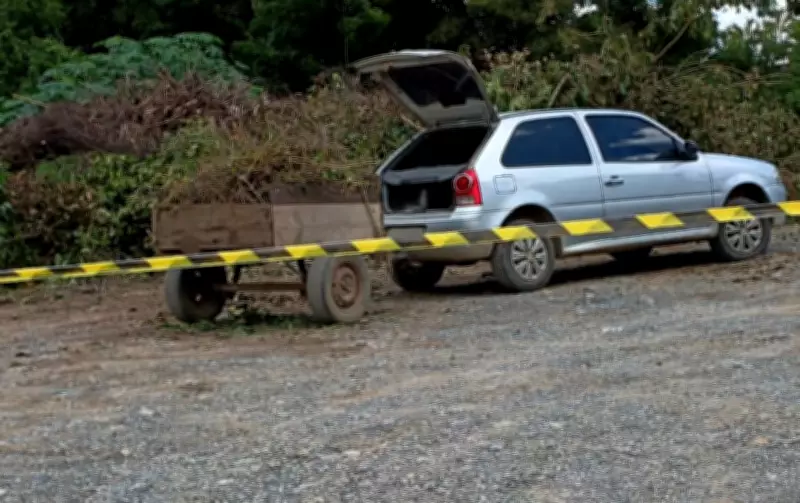 Ataque de abelhas fere homem e mata cachorro em condomínio de Salto de Pirapora