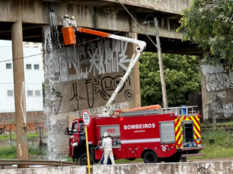 Ataque de enxame de abelhas interdita viaduto JK e fere avó e netos em Bauru