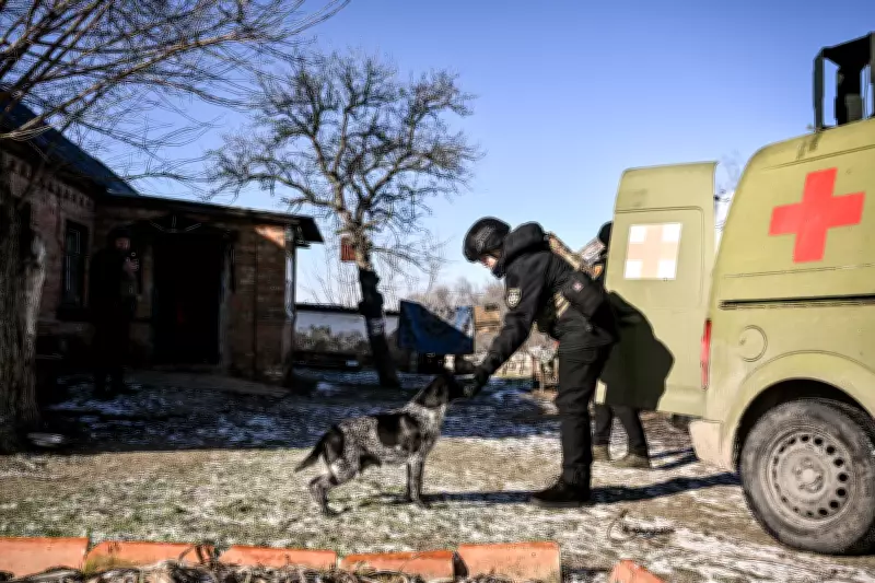 Ataque russo com drones destrói abrigo de animais na Ucrânia e mata cães