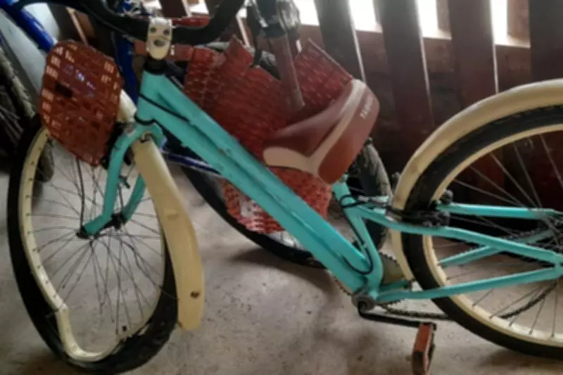 Audiência sobre morte de ciclista atropelada por charrete em praia de SP será retomada em março