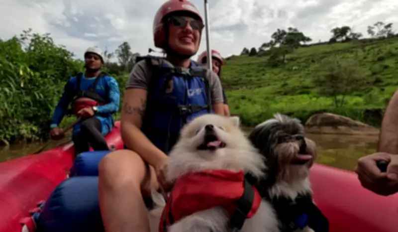 Aventuras com Pets em Socorro (SP): Dicas para Trilhas e Esportes Seguros