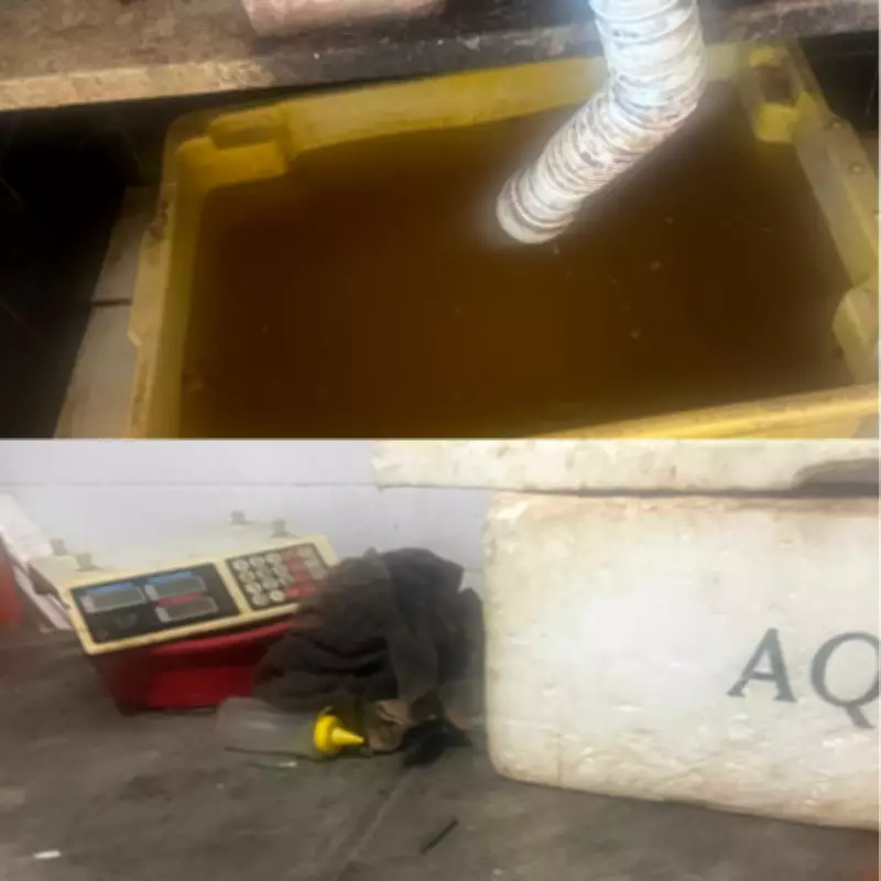 Balança de Peixe em Maceió é interditada por condições insalubres e risco sanitário