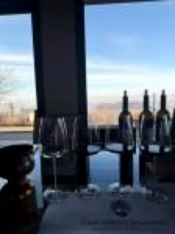 Barolo Boys: A Revolução que Salvou o Rei dos Vinhos Italianos da Obsolescência