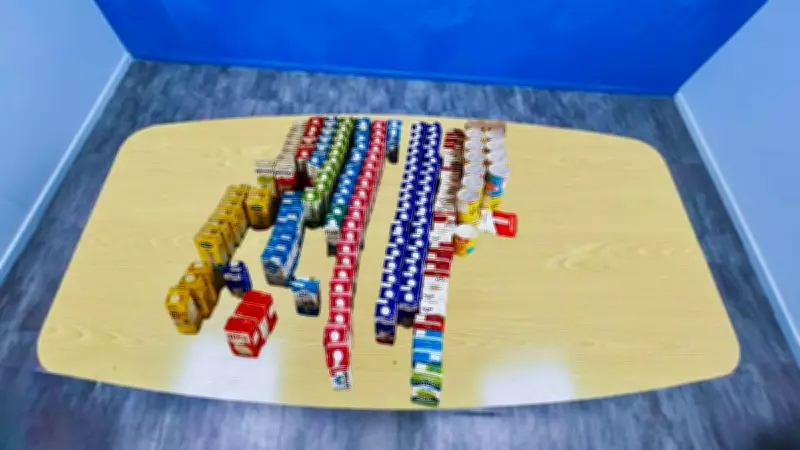 Bauru: Mais de 170 unidades de leite doadas para crianças vulneráveis após Carnaval solidário