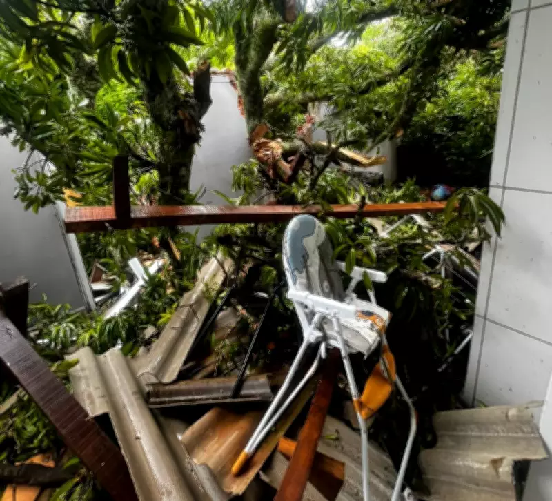 Bebê de 11 meses morre após queda de árvore em casa da AFA em Pirassununga, SP