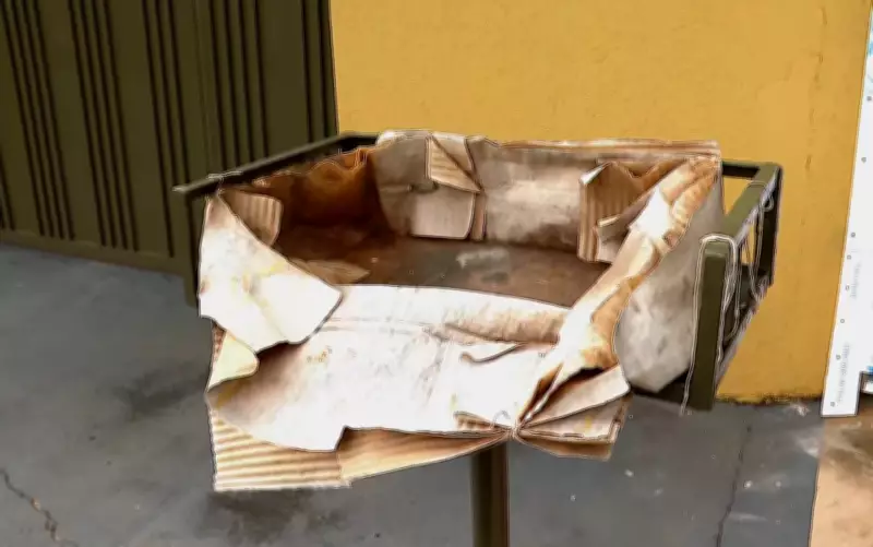 Bebê recém-nascida é encontrada viva em lixeira de Guariba após adolescente esconder gravidez