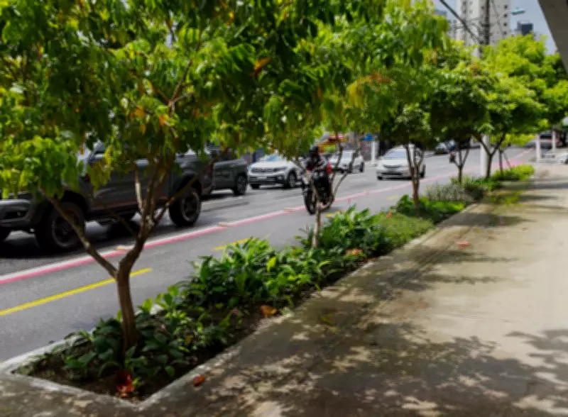 Belém implanta jardins de chuva como solução natural contra alagamentos urbanos