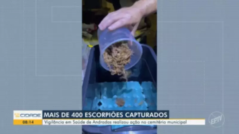 Bom Dia Cidade Sul de Minas: Confira os destaques da edição de sexta-feira, 20 de fevereiro de 2026