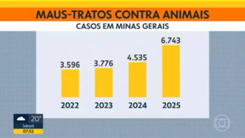 Bom Dia Minas apresenta notícias e destaques de Minas Gerais nesta quarta-feira