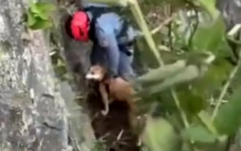 Bombeiros realizam resgate de cão preso há 4 dias em pedreira no interior de São Paulo