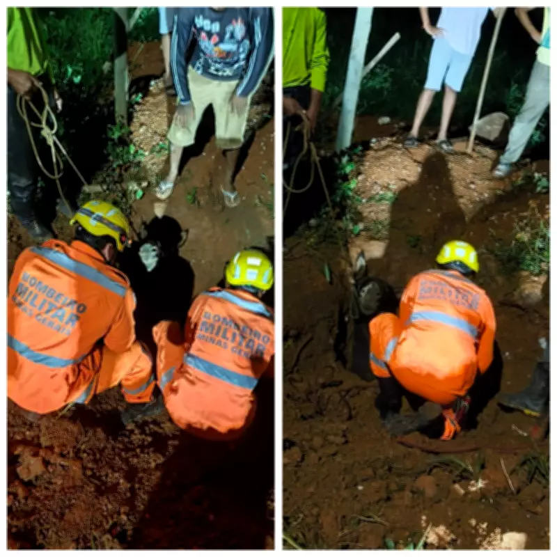 Bombeiros resgatam burro que caiu em buraco de construção em Montes Claros