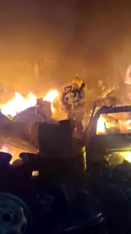 Bombeiros resgatam cadela de incêndio em depósito em Pouso Alegre, MG