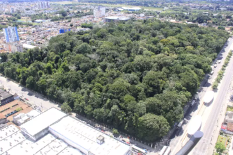 Bosque Rodrigues Alves oferece entrada gratuita e trilha monitorada em Belém