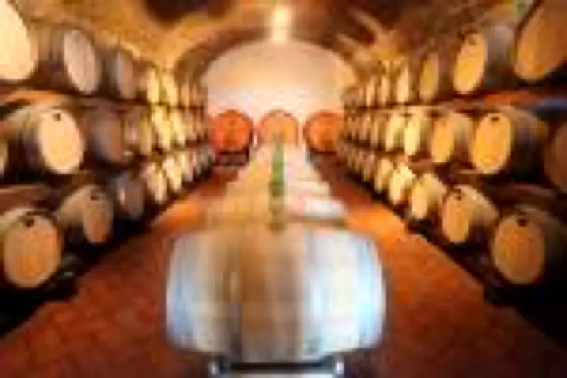 Brasil amplia consumo de vinhos importados com alta de 20% nos gastos e diversificação de rótulos