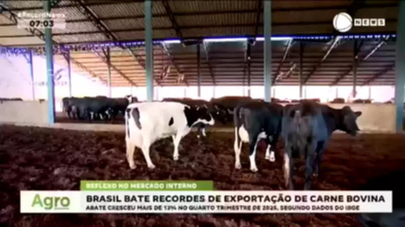 Brasil atinge marcas históricas na exportação de carne bovina com alta de 13% no abate