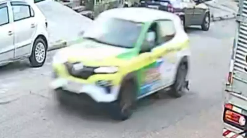 Cachorra atropelada por carro de autoescola em Jundiaí gera polêmica e versões conflitantes