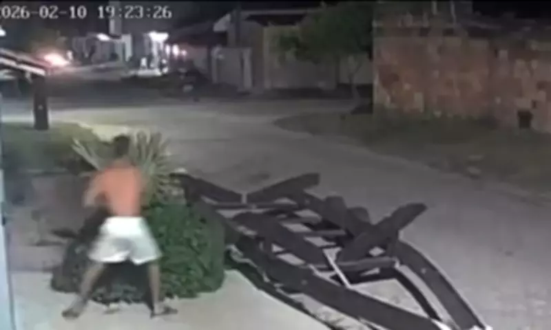 Cachorro é apedrejado com paralelepípedo em Prado; polícia busca suspeito