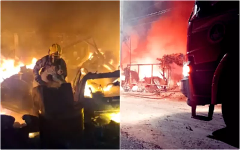 Cadela é resgatada com sucesso durante incêndio em depósito na BR-459, em Pouso Alegre, MG