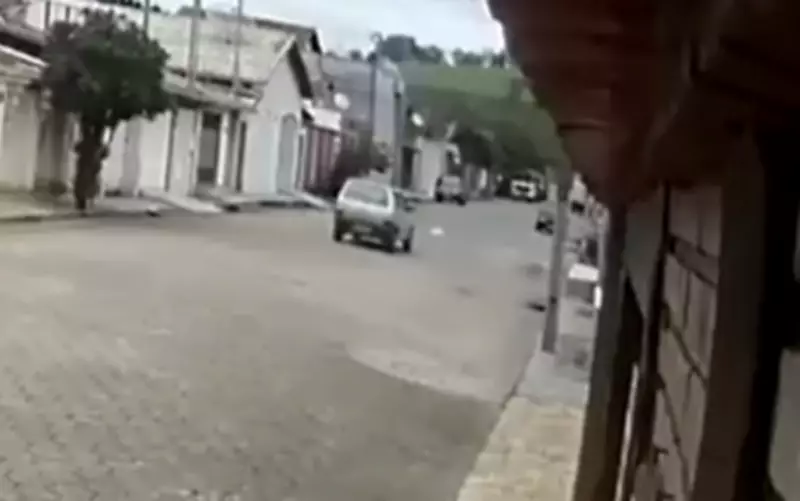 Cadelinha comunitária é atropelada e morre em Congonhal, MG; condutora alega não ter percebido