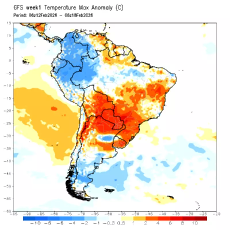 Calor intenso e pancadas de chuva marcam previsão do tempo para fevereiro no Brasil