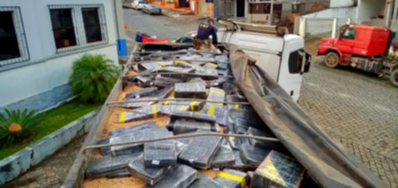 Caminhoneiro preso com 1,6 toneladas de maconha escondidas em carga de soja no Paraná