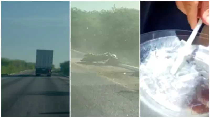 Caminhoneiro sob efeito de cocaína atropela policial e é preso após fuga na BR-116